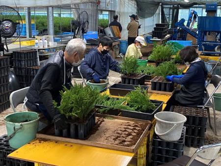 紙筒商品の普及を通じた農(林)福連携への取り組み