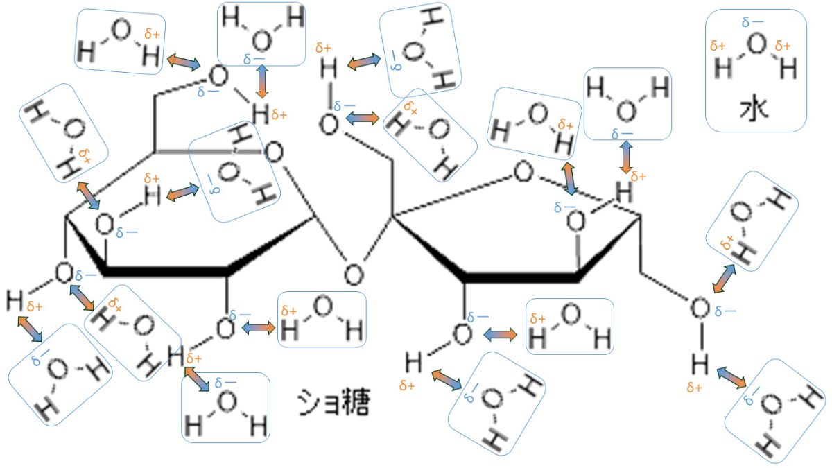 砂糖の親水性